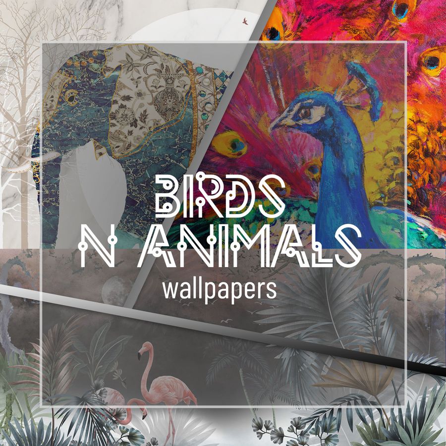 Birds and Animals - Wallpapers