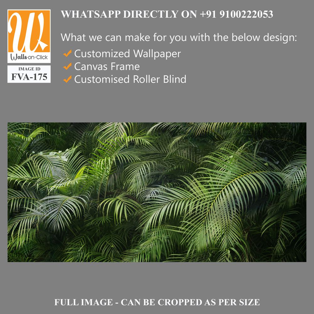 Lush, green palm tree forest with abundant foliage [WP-FVA-175]