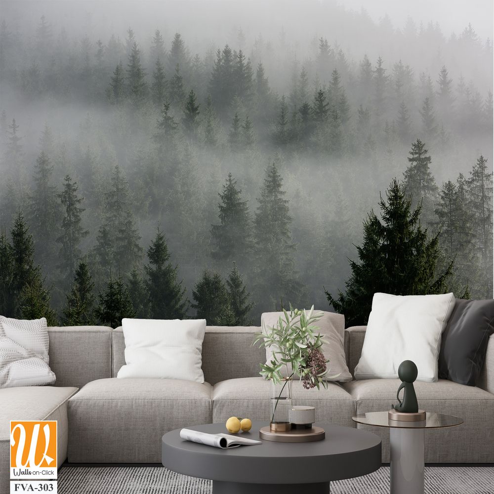 Pine Trees in the mist of an evergreen forest [WP-FVA-303]