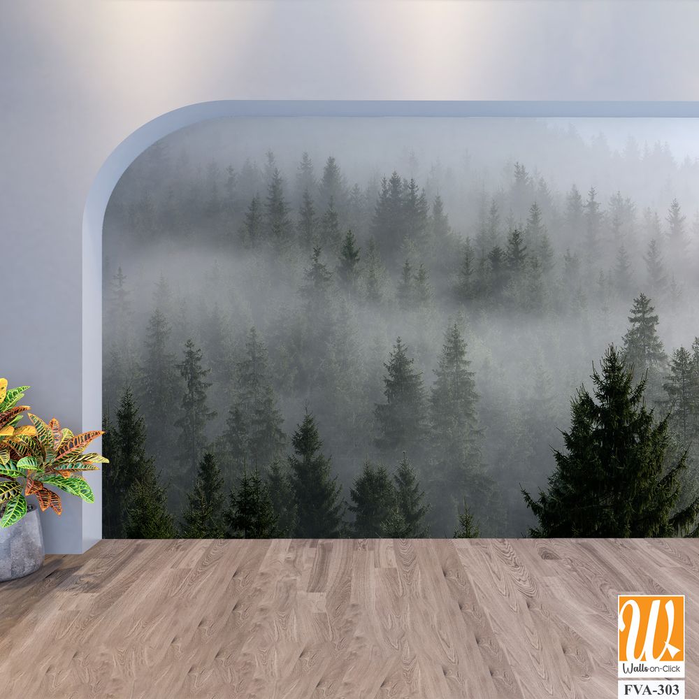 Pine Trees in the mist of an evergreen forest [WP-FVA-303]