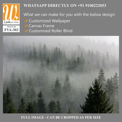 Pine Trees in the mist of an evergreen forest [WP-FVA-303]