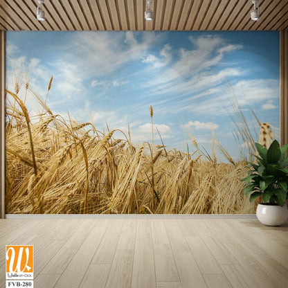 Rustic wheat field against a blue sky [WP-FVB-280]