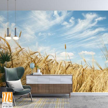 Rustic wheat field against a blue sky [WP-FVB-280]