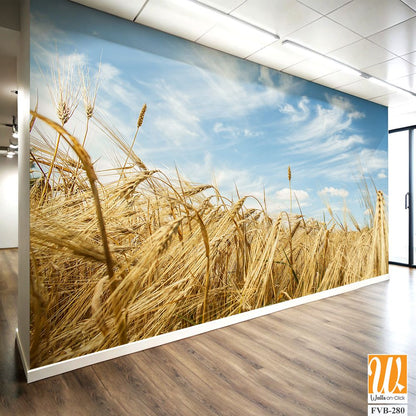 Rustic wheat field against a blue sky [WP-FVB-280]