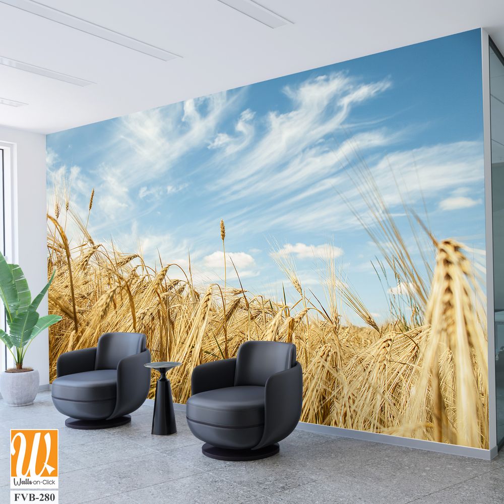 Rustic wheat field against a blue sky [WP-FVB-280]