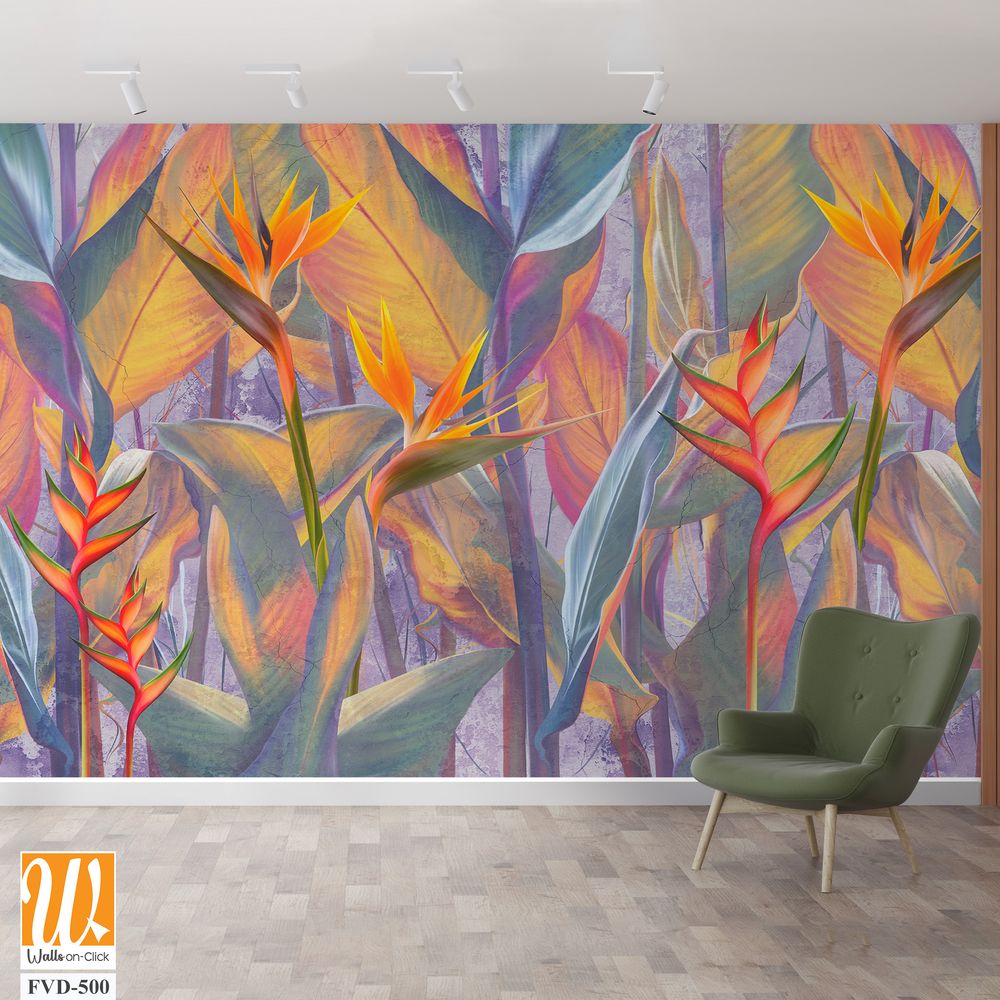 Colorful bird of paradise flowers [WP-FVD-500]