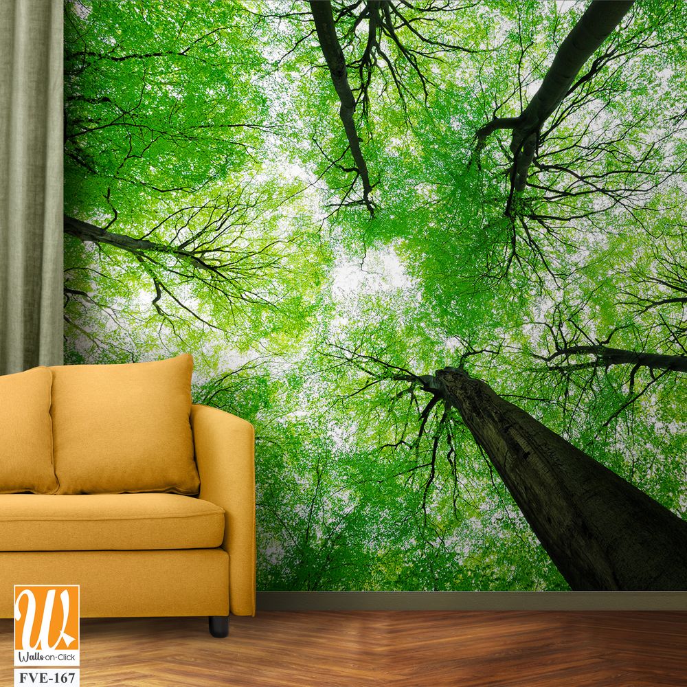 Lush green canopy of trees Wallpaper [WP-FVE-167]