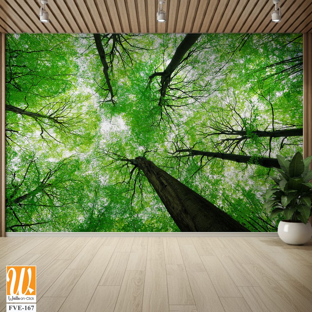 Lush green canopy of trees Wallpaper [WP-FVE-167]