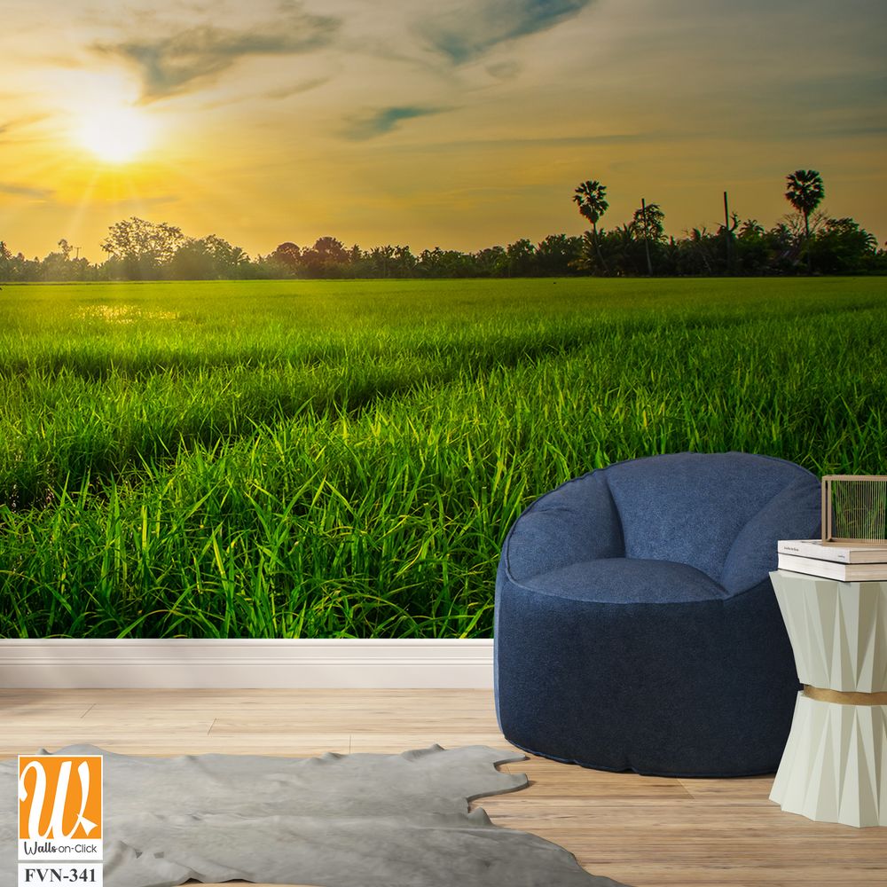 View of the rice fields under a blue sky [WP-FVN-341]