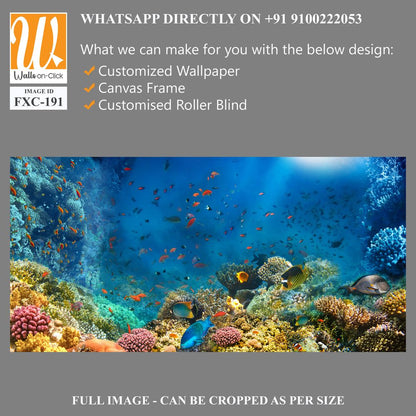 Vibrant coral reef with colorful fishes Wallpaper [WP-FXC-191]