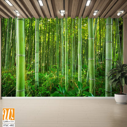 Dense bamboo forest with lush greenery Wallpaper [WP-FXC-482]