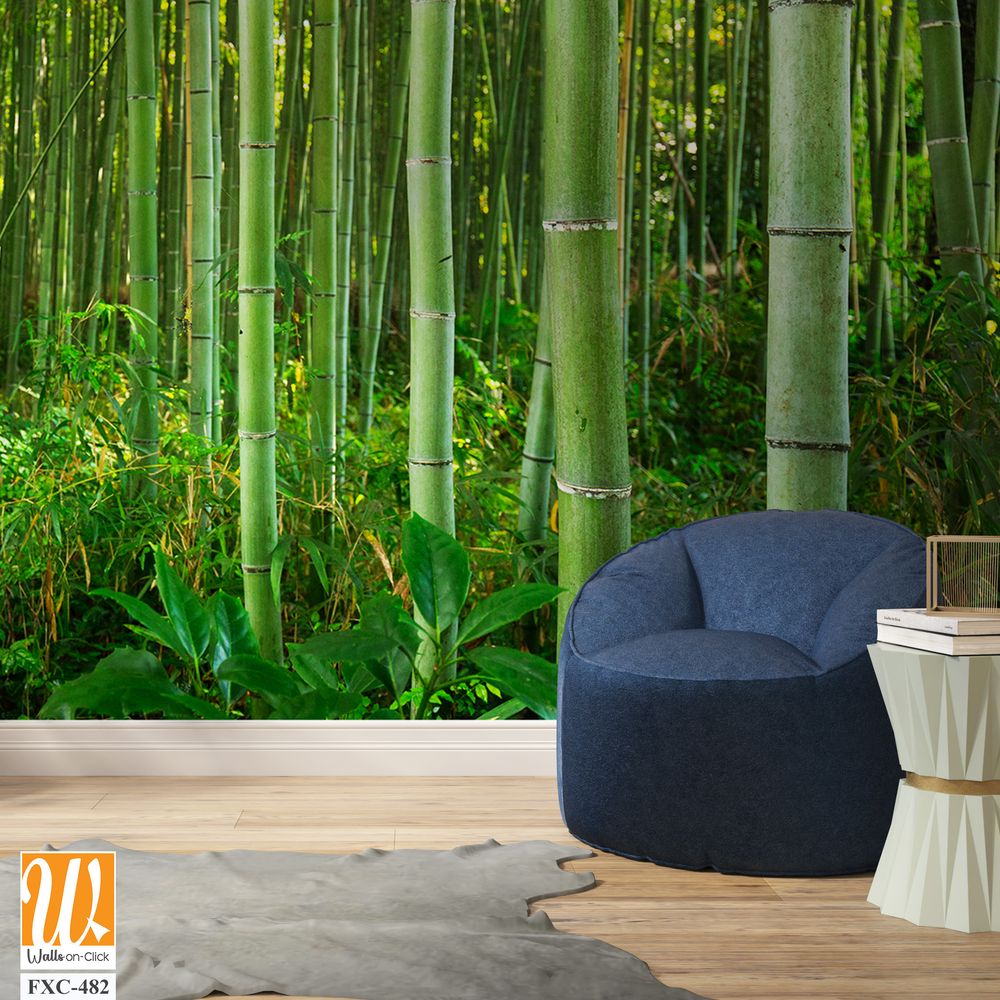 Dense bamboo forest with lush greenery Wallpaper [WP-FXC-482]