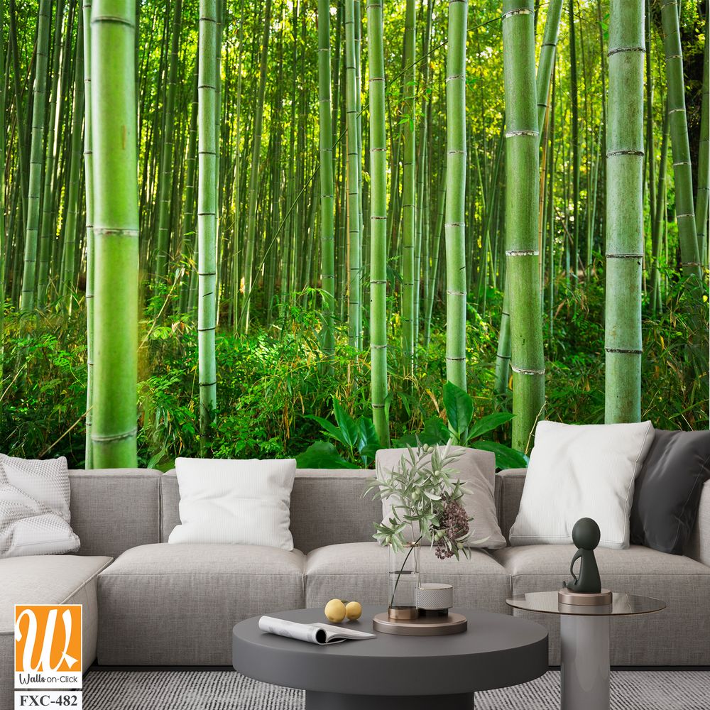 Dense bamboo forest with lush greenery Wallpaper [WP-FXC-482]