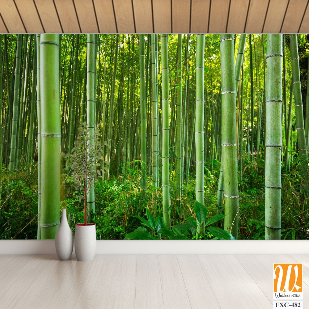 Dense bamboo forest with lush greenery Wallpaper [WP-FXC-482]