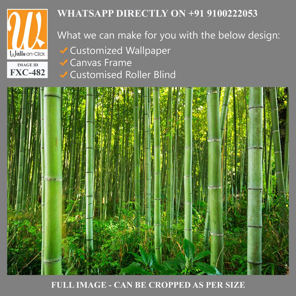 Dense bamboo forest with lush greenery Wallpaper [WP-FXC-482]