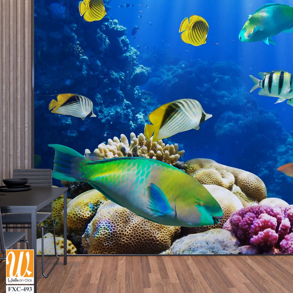 Vibrant coral reef with colorful fish swimming Wallpaper [WP-FXC-493]