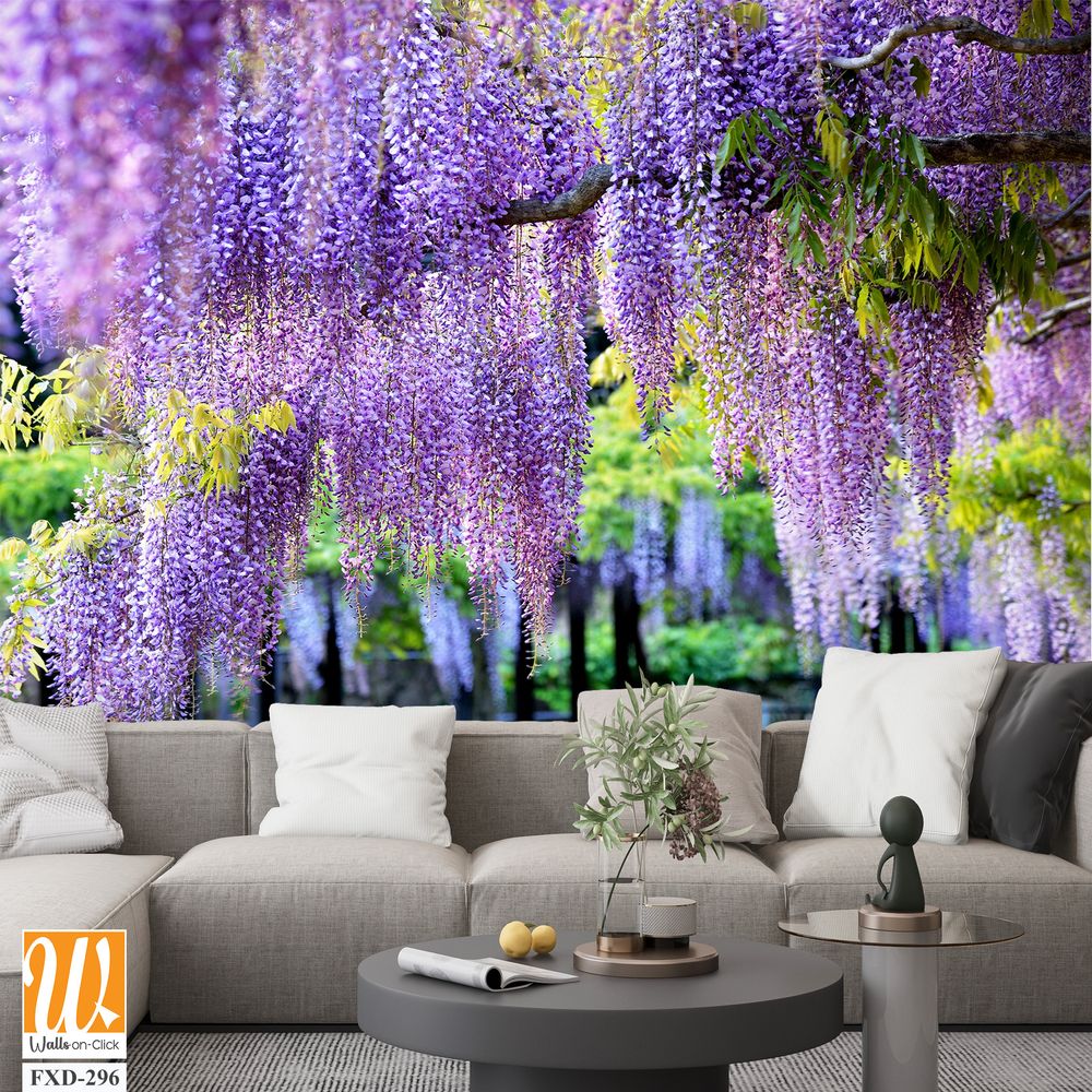 Wisteria in full bloom Wallpaper [WP-FXD-296]