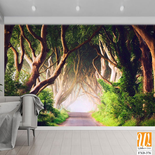 Beautiful dark, shaded tree-lined alley Wallpaper [WP-FXD-376]