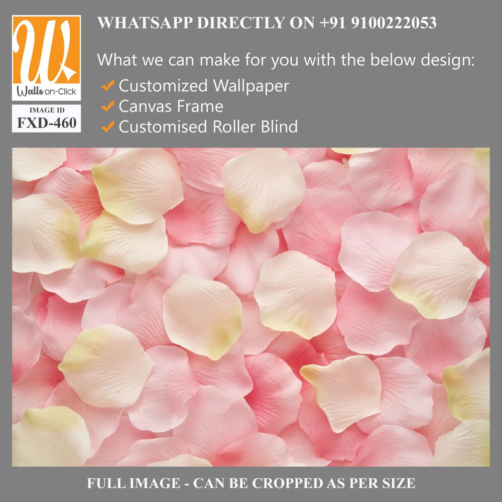 Pink and cream rose petals background Wallpaper [WP-FXD-460]