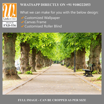 Elegant, tree-lined street in the park Wallpaper [WP-FXD-536]