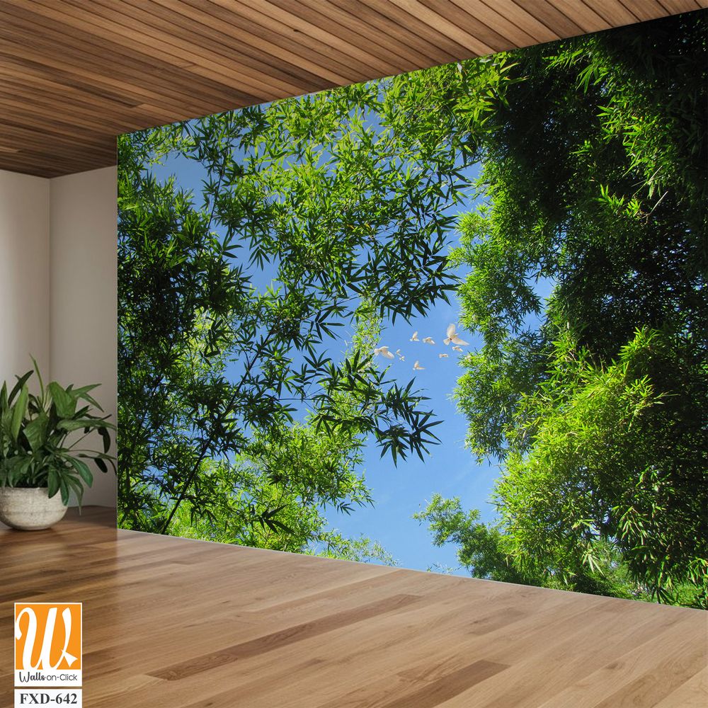 Bamboo forest canopy, with birds flying Wallpaper [WP-FXD-642]