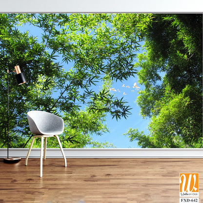 Bamboo forest canopy, with birds flying Wallpaper [WP-FXD-642]