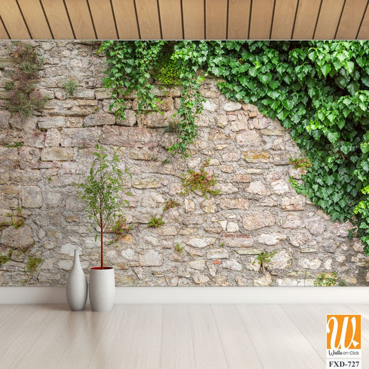 Stone wall with ivy and moss Wallpaper [WP-FXD-727]